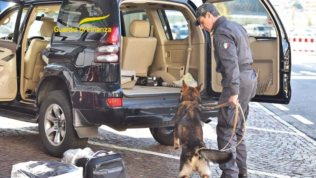 Unità cinofila della Guardia di Finanza in azione alla frontiera Unità cinofila della Guardia di Finanza in azione alla frontiera