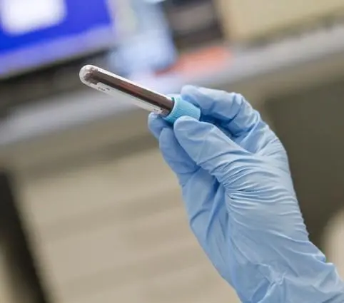 Torna l’allarme West Nile . Due donne infettate dal virus. Una è ricoverata nel Pavese