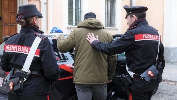 Sono intervenuti i carabinieri di Appiano Gentile
