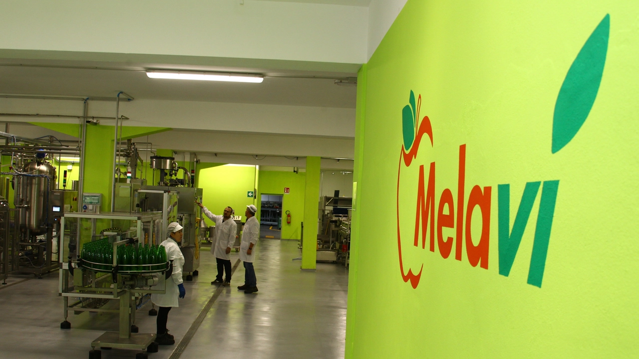 Melavì si ferma, i frutticoltori invece “no”