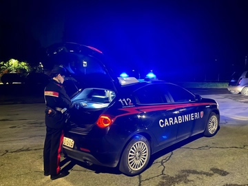 immagine articolo