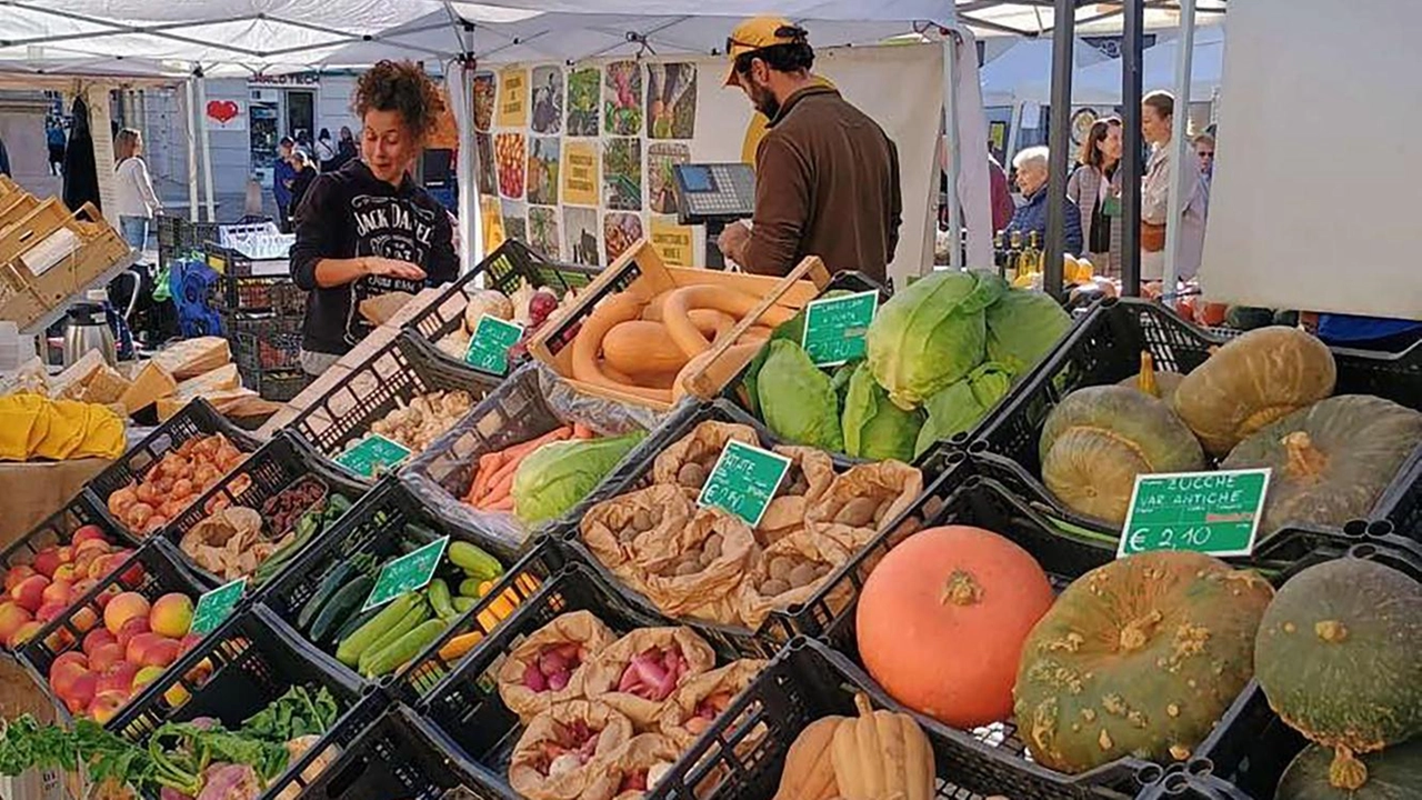 Lotta alla povertà alimentare grazie a frutta e verdura donate a Rho e Bollate . Lotta alla povertà alimentare grazie a frutta e verdura donate a Rho e Bollate .