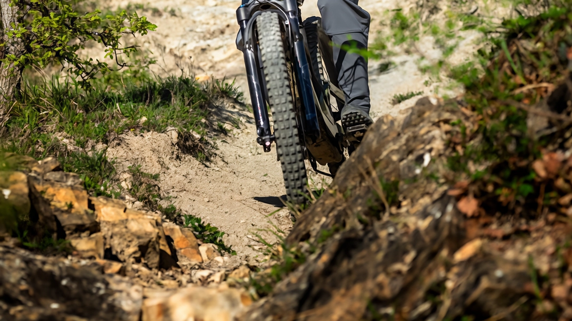 Il campione di mountain bike Marco Aurelio Fontana, originario di Giussano, celebre per la medaglia olimpica del 2012 e i successi mondiali, unisce due città brianzole e l'Italia nel suo trionfo sportivo. Il campione di mountain bike Marco Aurelio Fontana, originario di Giussano, celebre per la medaglia olimpica del 2012 e i successi mondiali, unisce due città brianzole e l'Italia nel suo trionfo sportivo.