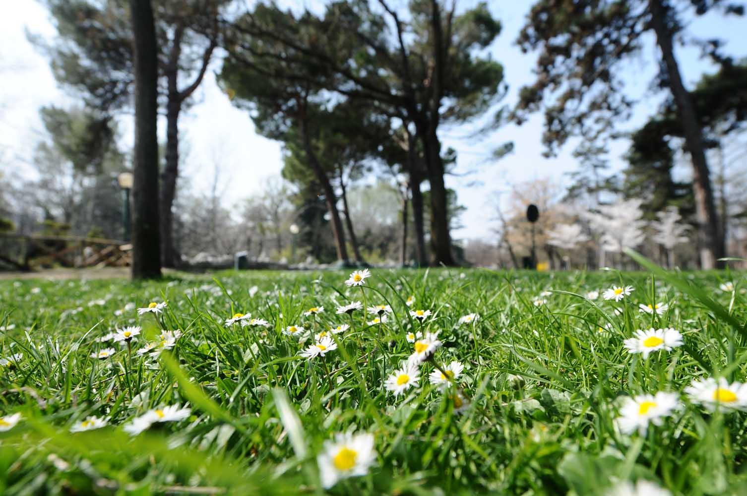 previsioni meteo milano e lombardia che tempo farà nel weekend la prossima settimana torna il maltempo da Ilgiorno.it previsioni meteo milano e lombardia che tempo farà nel weekend la prossima settimana torna il maltempo