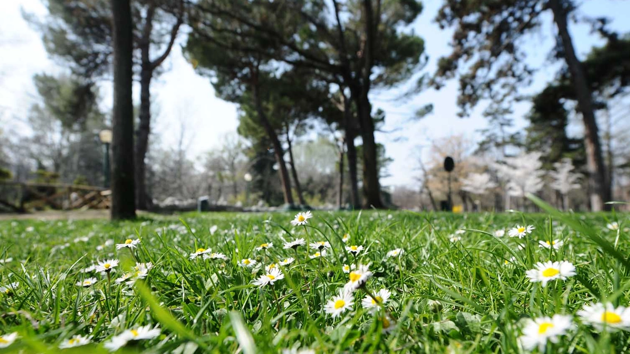 Sarà un weekend di tempo variabile, per poi lasciare spazio alle piogge dell’inizio della prossima settimana Sarà un weekend di tempo variabile, per poi lasciare spazio alle piogge dell’inizio della prossima settimana