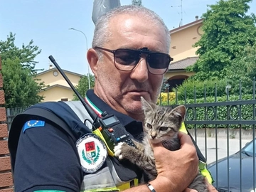 immagine articolo