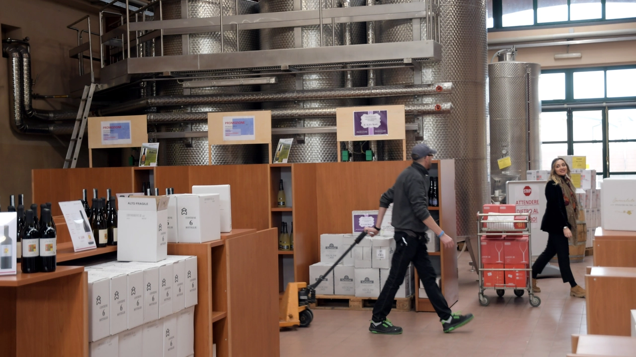 Terre d'Oltrepo: una svolta organizzativa nelle cantine pavesi