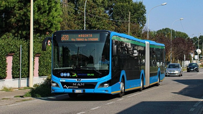 Un bus della società Movibus Un bus della società Movibus