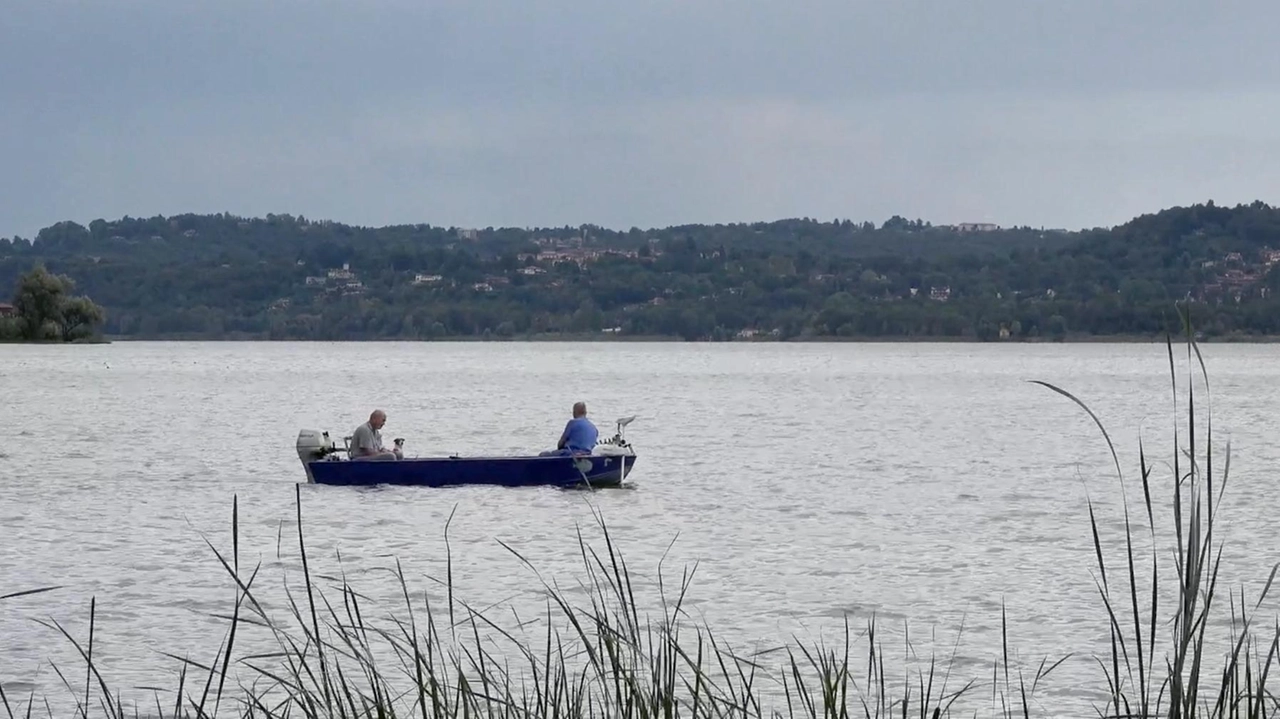 Due documentari dedicati al Lago di Varese e alla Palude Brabbia saranno proiettati sabato sera a Bodio Lomnago. L’appuntamento è... Due documentari dedicati al Lago di Varese e alla Palude Brabbia saranno proiettati sabato sera a Bodio Lomnago. L’appuntamento è...