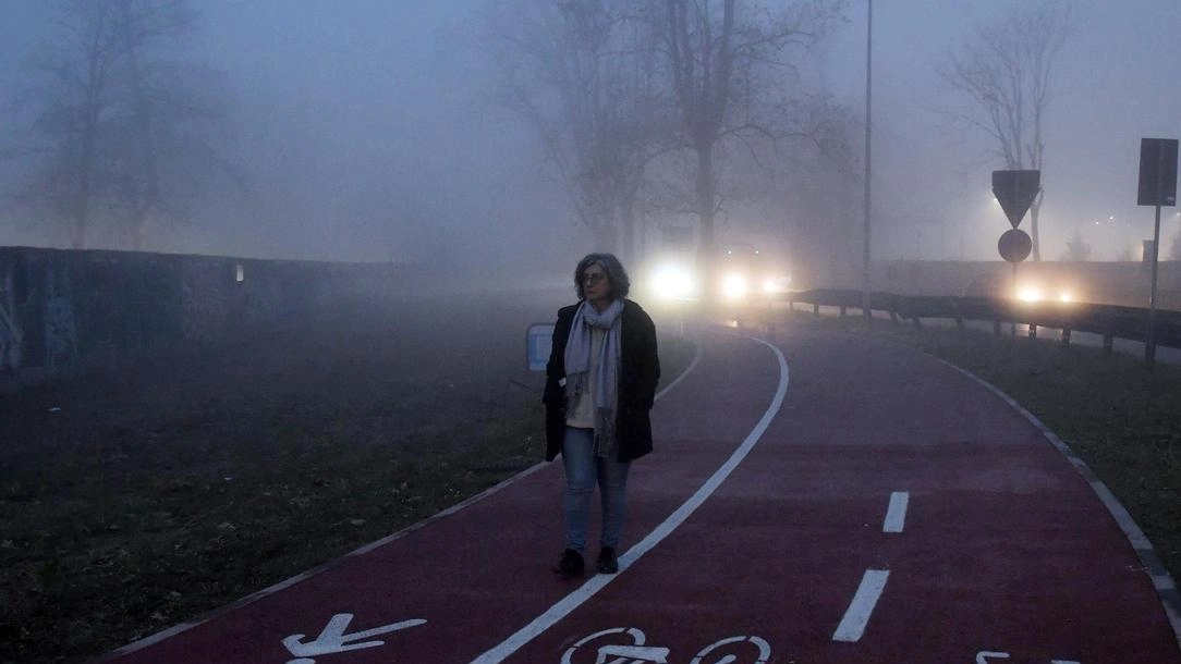 "Quella pista ciclabile, la sera, piomba nel buio. Un potenziale pericolo per tutti i suoi utilizzatori". I ciclisti della... "Quella pista ciclabile, la sera, piomba nel buio. Un potenziale pericolo per tutti i suoi utilizzatori". I ciclisti della...