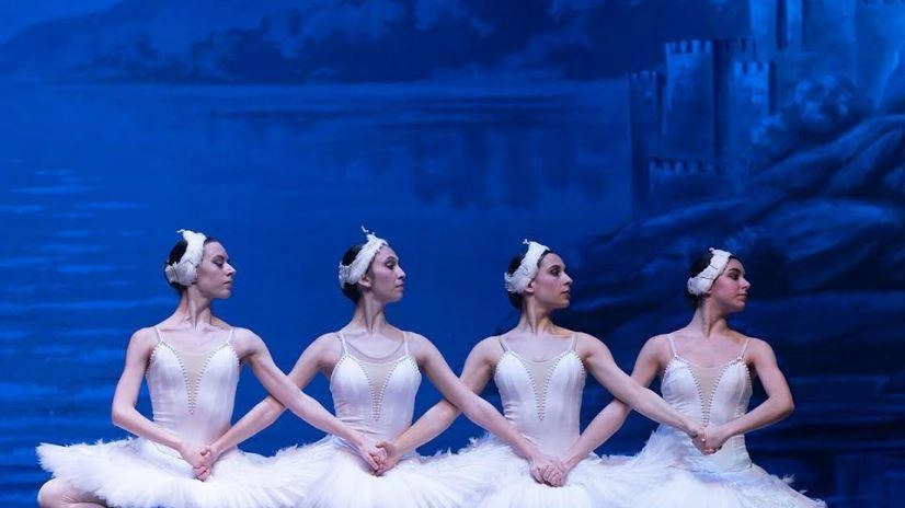 È il più celebre, probabilmente l’icona di tutti balletti classici “Il lago dei cigni“ di Pëtr Il’ič Čajkovskij, insieme... È il più celebre, probabilmente l’icona di tutti balletti classici “Il lago dei cigni“ di Pëtr Il’ič Čajkovskij, insieme...
