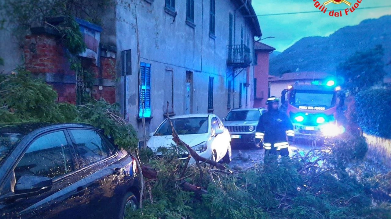 Vigili del fuoco al lavoro in Valsassina per alcuni alberi caduti