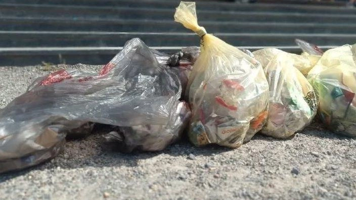 Angera, alunni della primaria mobilitati con le insegnanti. Una lezione civica . Angera, alunni della primaria mobilitati con le insegnanti. Una lezione civica .