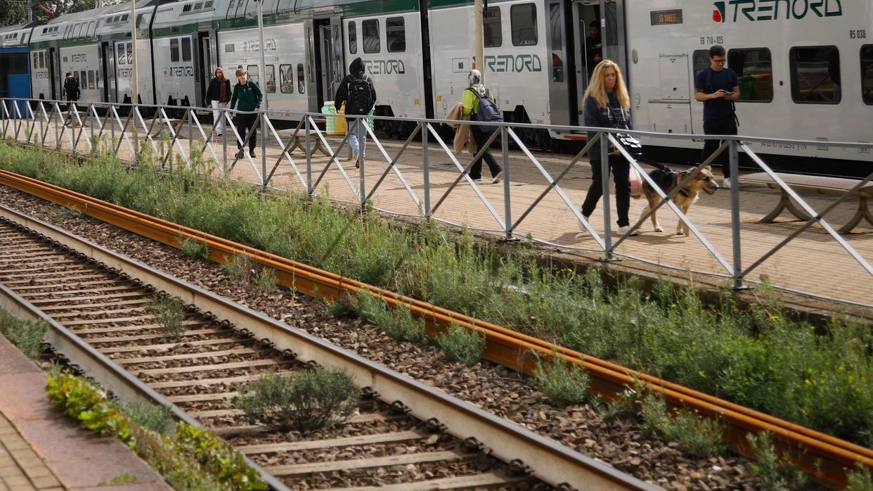 Quarto binario da Rho a Parabiago Il contestato progetto di potenziamento della linea ferroviaria diventa realtà Quarto binario da Rho a Parabiago Il contestato progetto di potenziamento della linea ferroviaria diventa realtà