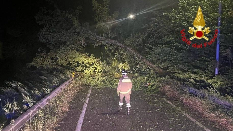 Maltempo nel Bresciano, alberi caduti: vigili dle fuoco in azione