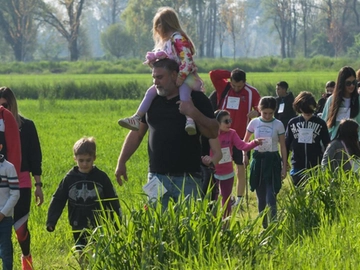 immagine articolo