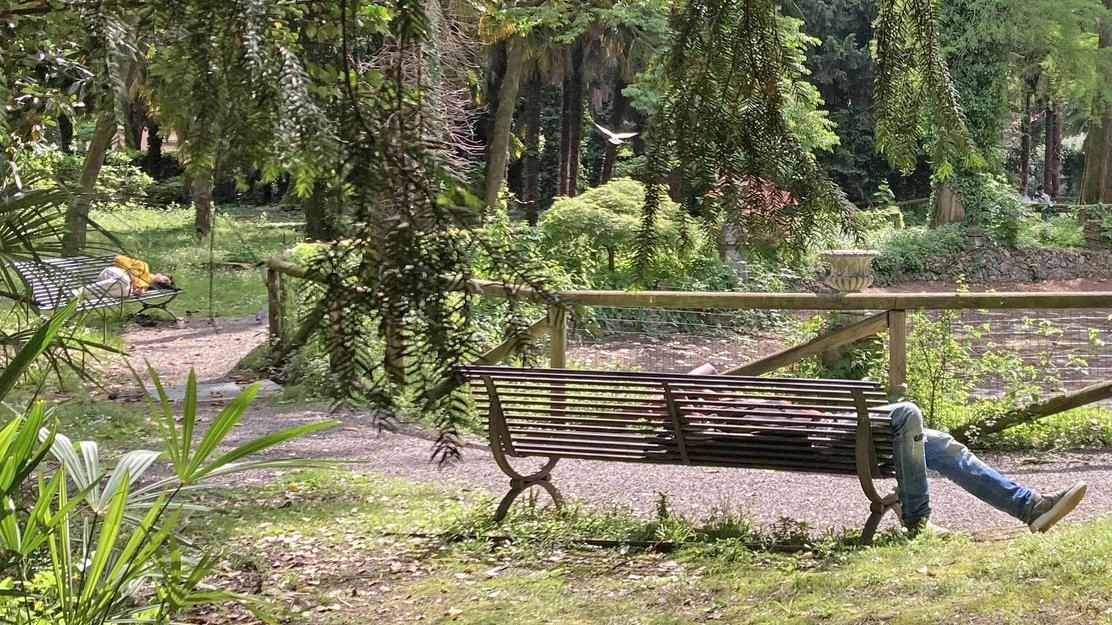 Le panchine del parco Marenzi sono spesso utilizzate per dormire Le panchine del parco Marenzi sono spesso utilizzate per dormire