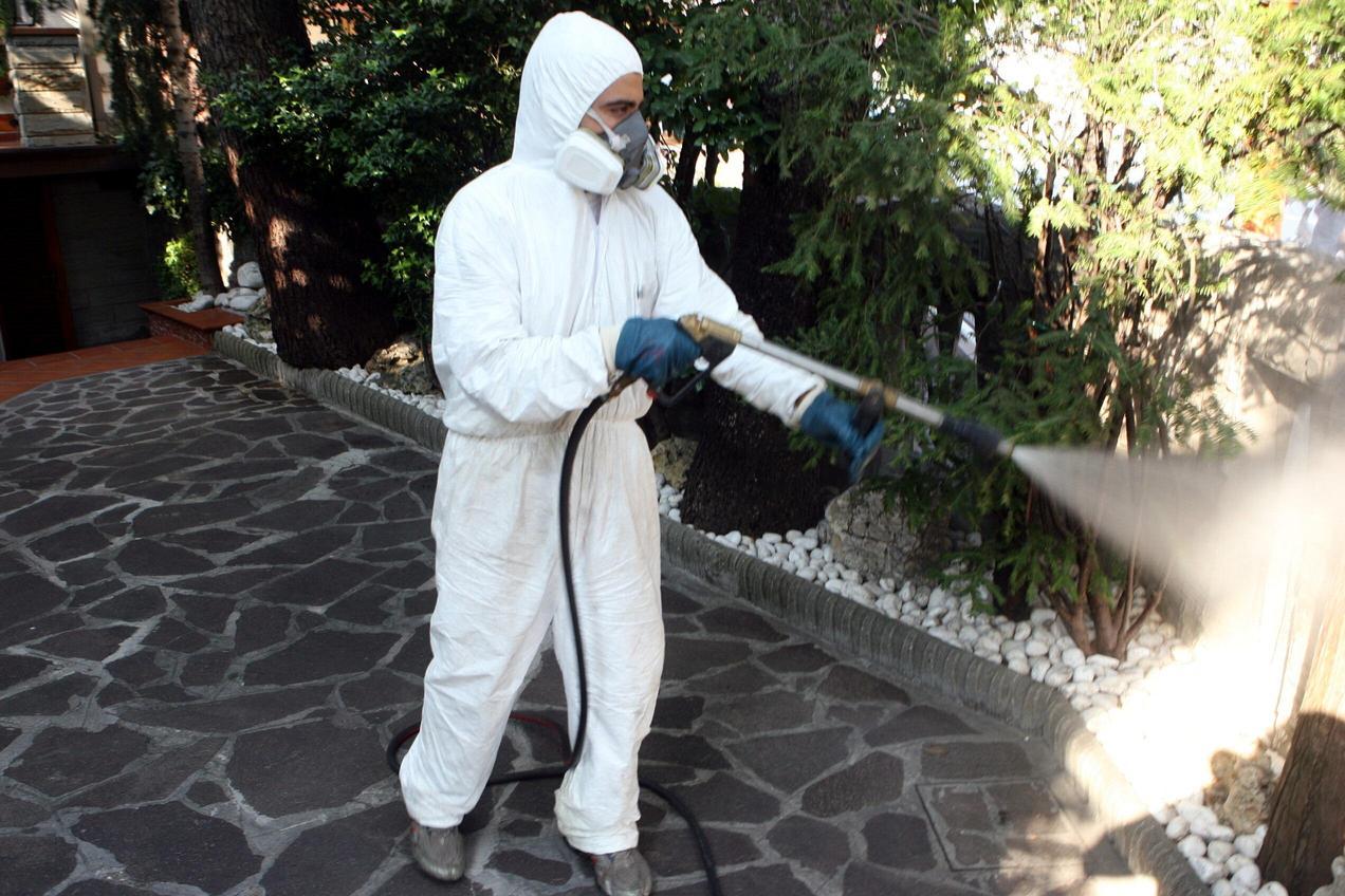 Segnalato caso di Chikungunya. Si corre ai ripari