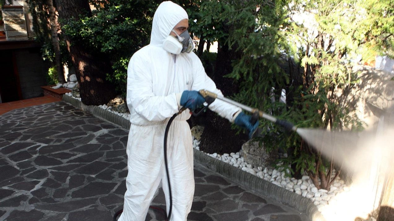 Caldo e non solo: a Gallarate è stato segnalato un caso di Chikungunya, malattia virale trasmessa dalle zanzare della specie...