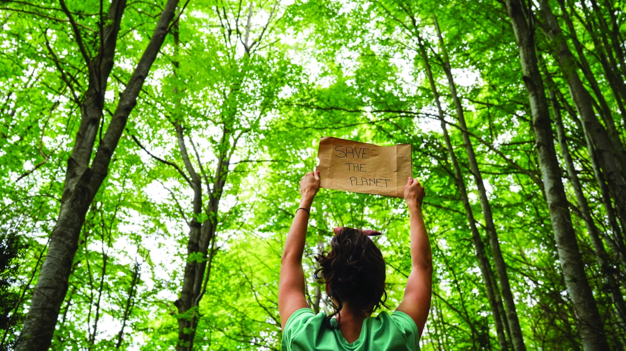 Molte associazioni sono attive nella difesa delle foreste del nostro pianeta Molte associazioni sono attive nella difesa delle foreste del nostro pianeta