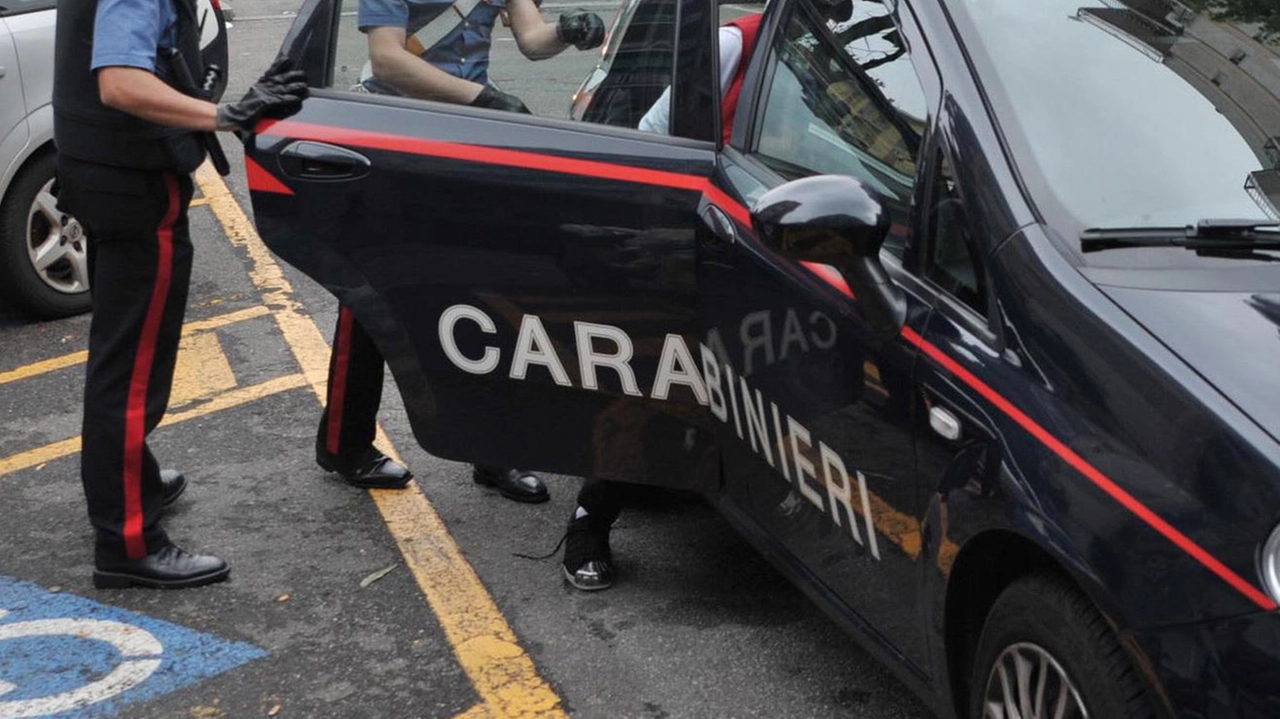 I carabinieri negli ultimi giorni hanno arrestato la 31enne dopo aver confrontato immagini e vagliato le impronte lasciate durante i numerosi blitz I carabinieri negli ultimi giorni hanno arrestato la 31enne dopo aver confrontato immagini e vagliato le impronte lasciate durante i numerosi blitz