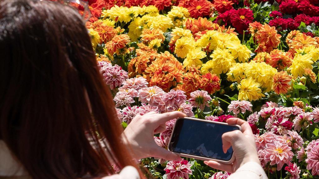“Fiori e colori“ sta per abbellire ogni angolo di Abbiategrasso “Fiori e colori“ sta per abbellire ogni angolo di Abbiategrasso