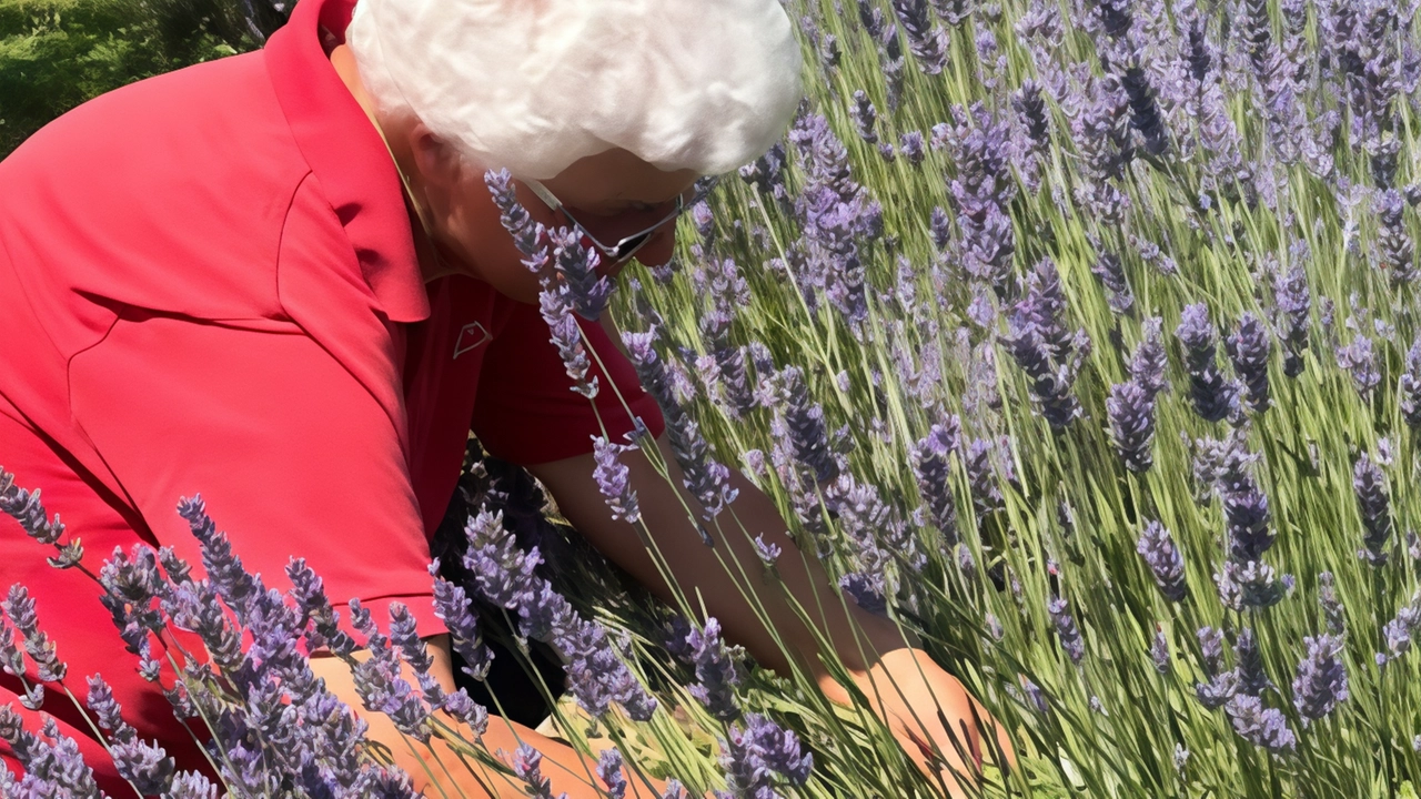 Un albero, un alveare o della lavanda da adottare per realizzare un bosco. L’iniziativa arriva da S.Felice del Benaco, dove... Un albero, un alveare o della lavanda da adottare per realizzare un bosco. L’iniziativa arriva da S.Felice del Benaco, dove...