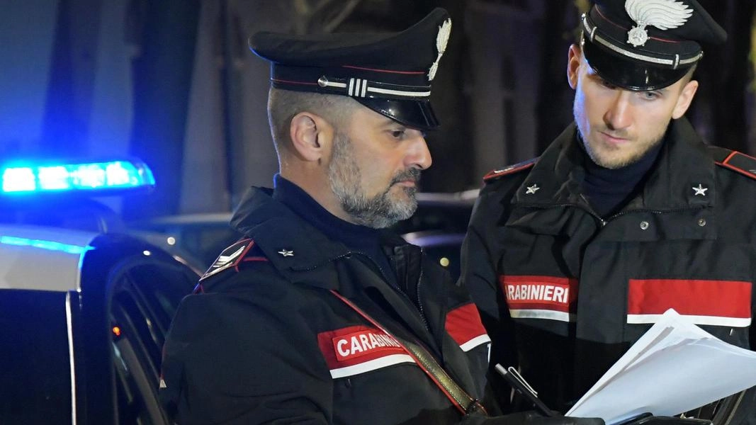 I carabinieri hanno avviato le indagini I carabinieri hanno avviato le indagini