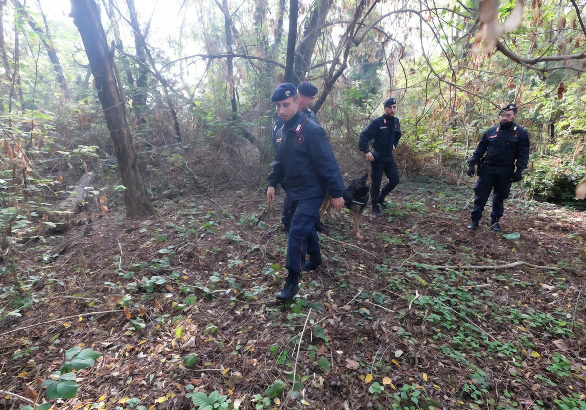 Le Groane al setaccio. Trovati droga e bastoni Le Groane al setaccio. Trovati droga e bastoni