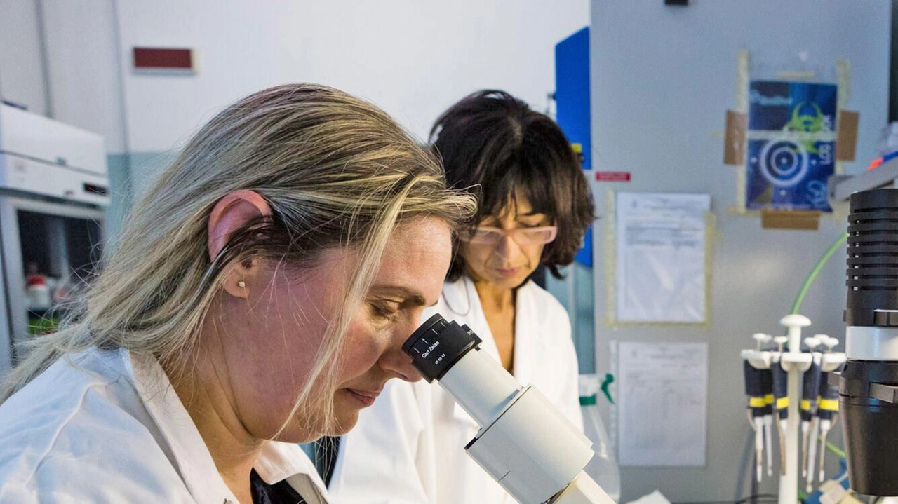 Il mondo dell’università e della ricerca avranno un ruolo decisivo nell’aumentare l’attrattività di talenti e imprese Il mondo dell’università e della ricerca avranno un ruolo decisivo nell’aumentare l’attrattività di talenti e imprese