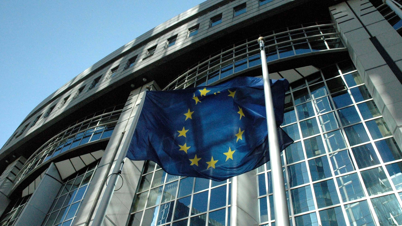 Bandiera della Comunità Europea Bandiera della Comunità Europea