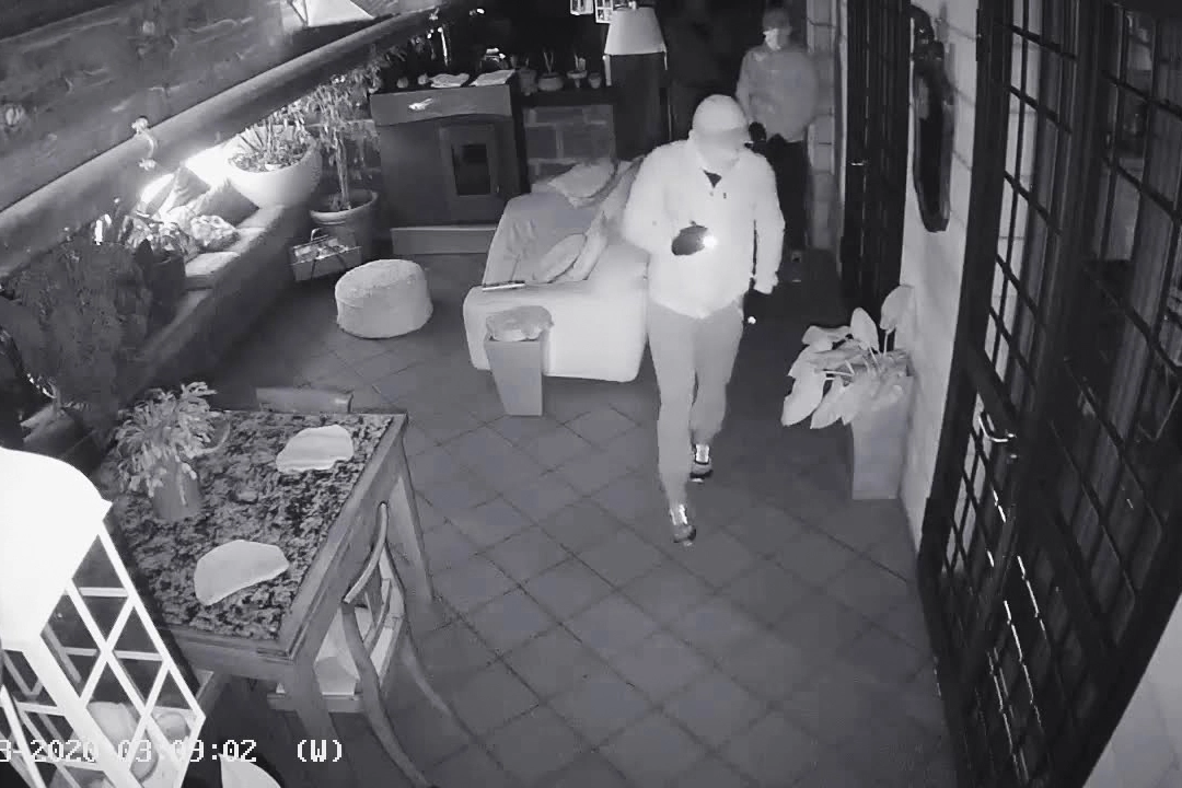 Le immagini sono arrivate in tempo reale sullo schermo dello smartphone della padrona di casa (foto di repertorio)