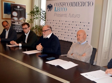 immagine articolo