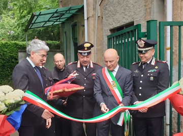 immagine articolo