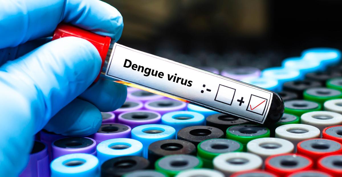 caso sospetto di dengue a monza disinfestazione straordinaria in centro citt224