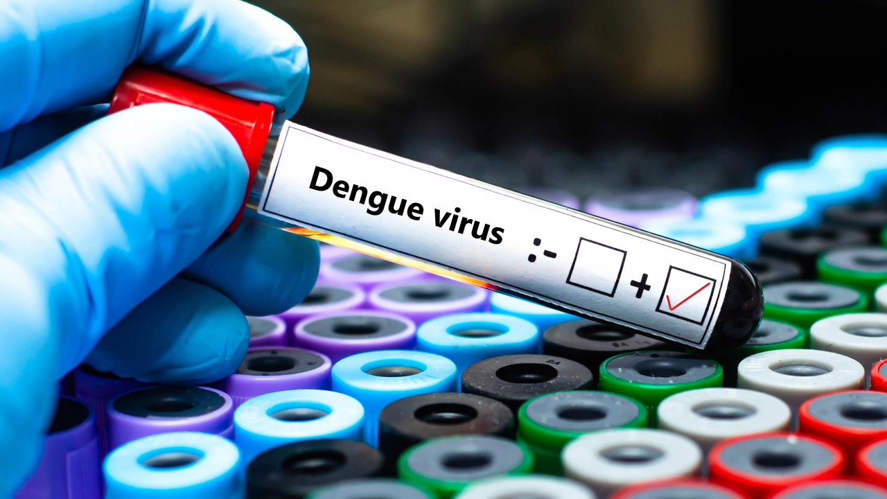 Nuovo caso sospetto di Dengue a Monza Nuovo caso sospetto di Dengue a Monza