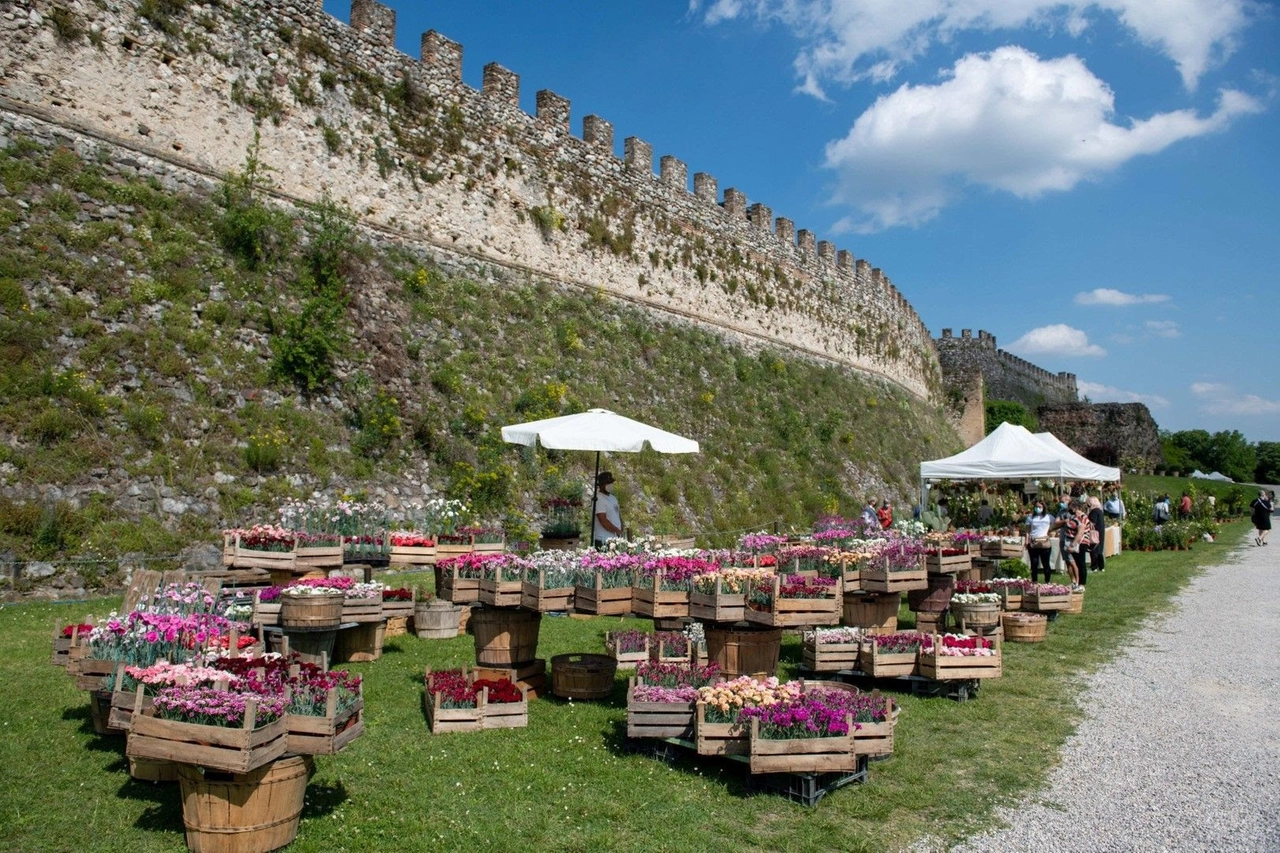 Fiori nella Rocca, Lonato del Garda