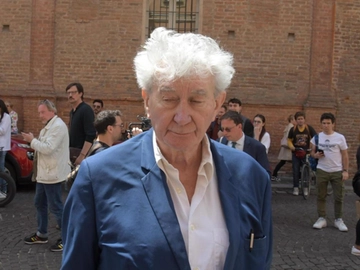 immagine articolo