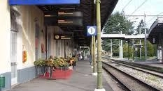 Oltre ai lavori sulla rete Rfi, che partiranno il 28 luglio, sono previsti interventi anche sulla linea Milano Cadorna–Varese–Laveno... Oltre ai lavori sulla rete Rfi, che partiranno il 28 luglio, sono previsti interventi anche sulla linea Milano Cadorna–Varese–Laveno...