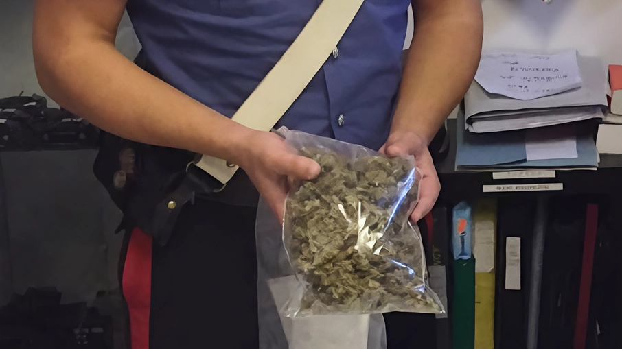 Un 29enne a Castelleone è stato denunciato dai carabinieri per detenzione di stupefacenti dopo essere stato sorpreso con marijuana, cocaina e hashish. Il valore complessivo della droga sequestrata è di circa 2mila euro.
