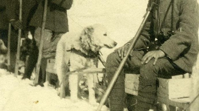 Serata sulla Guerra Bianca al Polo Unimont di Edolo il 3 aprile alle 20.30. La prima parte sarà dedicata alla... Serata sulla Guerra Bianca al Polo Unimont di Edolo il 3 aprile alle 20.30. La prima parte sarà dedicata alla...