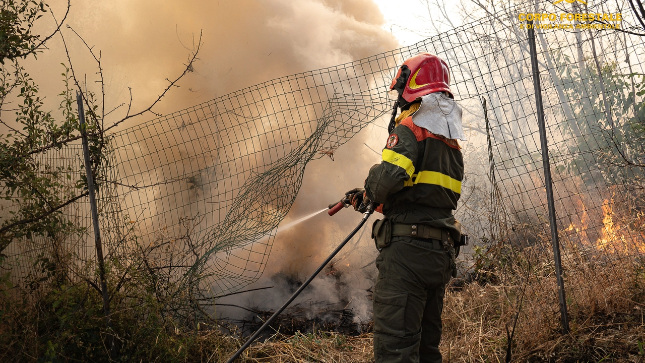 L'intervento dei vigili del fuoco ha consentito di contenere i danni L'intervento dei vigili del fuoco ha consentito di contenere i danni