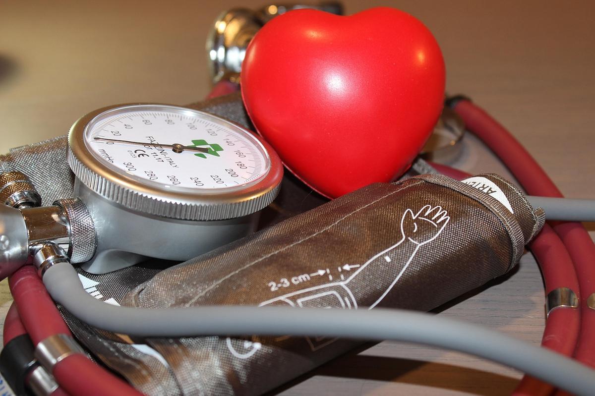 Milano Heart Week 2025, la settimana della prevenzione cardiovascolare: tutti gli eventi Milano Heart Week 2025, la settimana della prevenzione cardiovascolare: tutti gli eventi