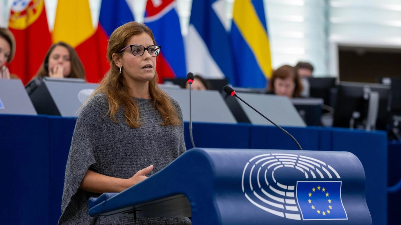 Ilaria Salis fa parte del gruppo Avs (Alleanza verdi e sinistra) del Parlamento europeo Ilaria Salis fa parte del gruppo Avs (Alleanza verdi e sinistra) del Parlamento europeo