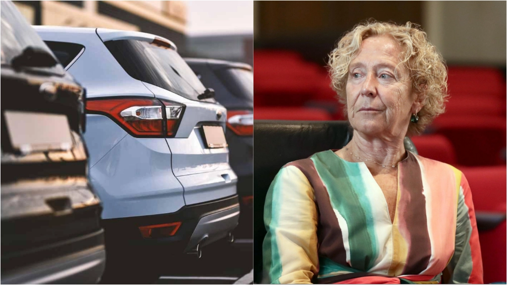 L'assessora al verde Elena Grandi ha commentato la mozione sulla sosta più cara per i suv L'assessora al verde Elena Grandi ha commentato la mozione sulla sosta più cara per i suv