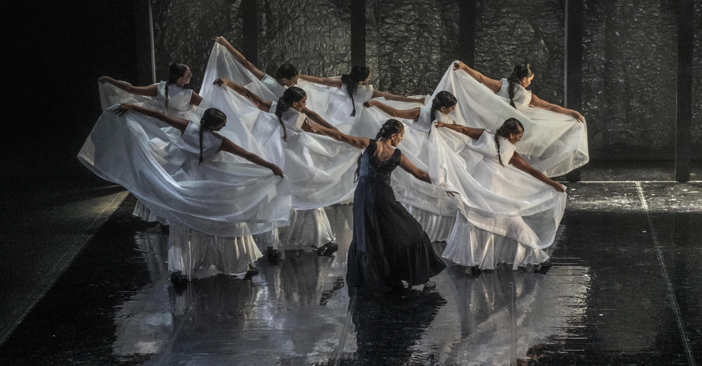 Flamenco, la libertà e la passione: "Inizi carbonari, ora piace ai bimbi" Flamenco, la libertà e la passione: "Inizi carbonari, ora piace ai bimbi"