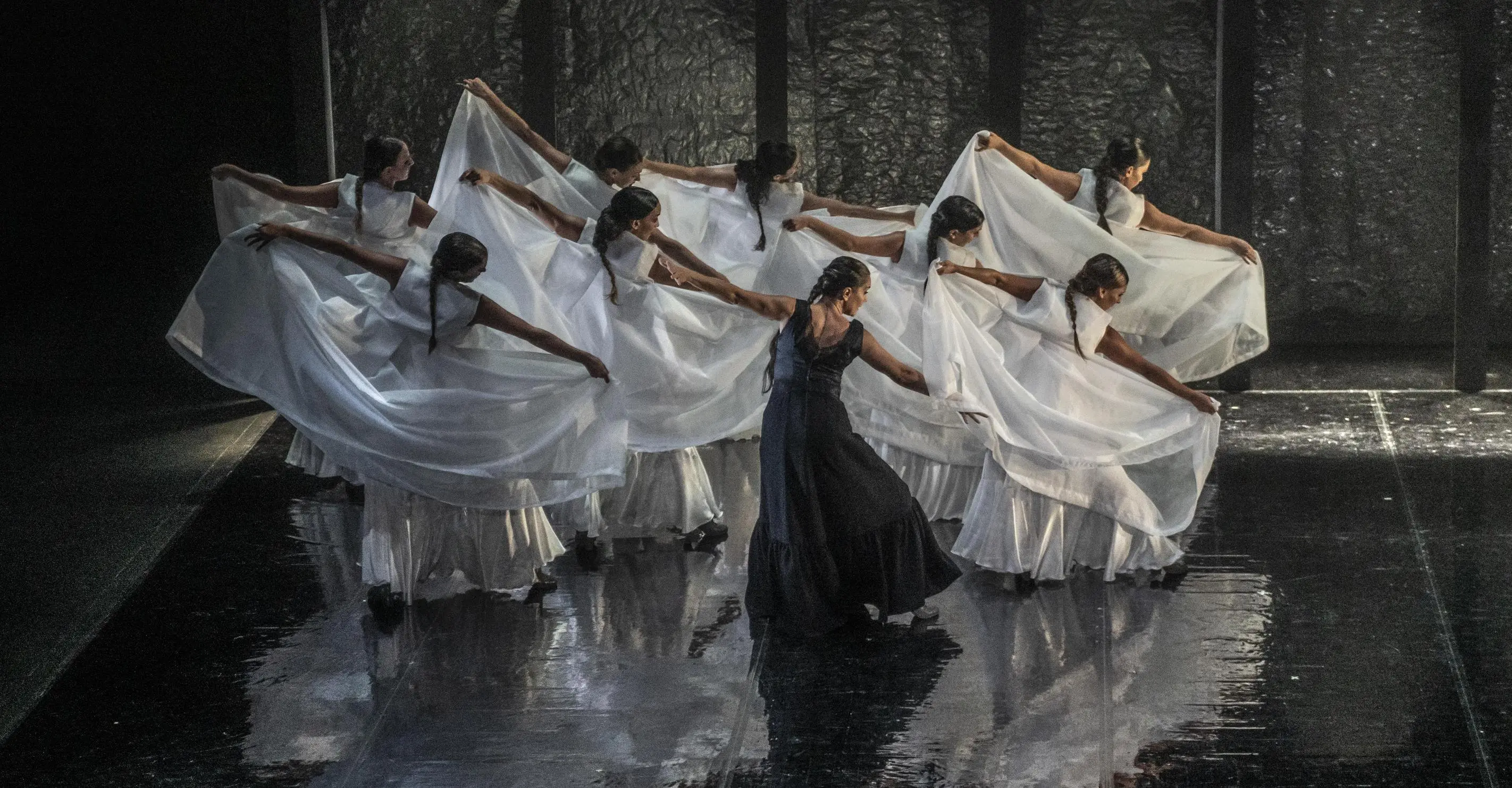 Flamenco, la libertà e la passione: "Inizi carbonari, ora piace ai bimbi"