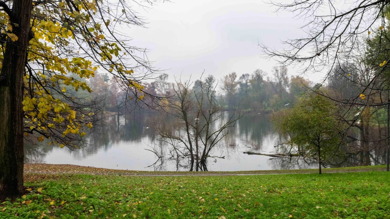 Il parco Lambro, costruito su colline di macerie della Seconda guerra mondiale, conserva la memoria di Milano con aree verdi, laghetti e storia. Il parco Lambro, costruito su colline di macerie della Seconda guerra mondiale, conserva la memoria di Milano con aree verdi, laghetti e storia.