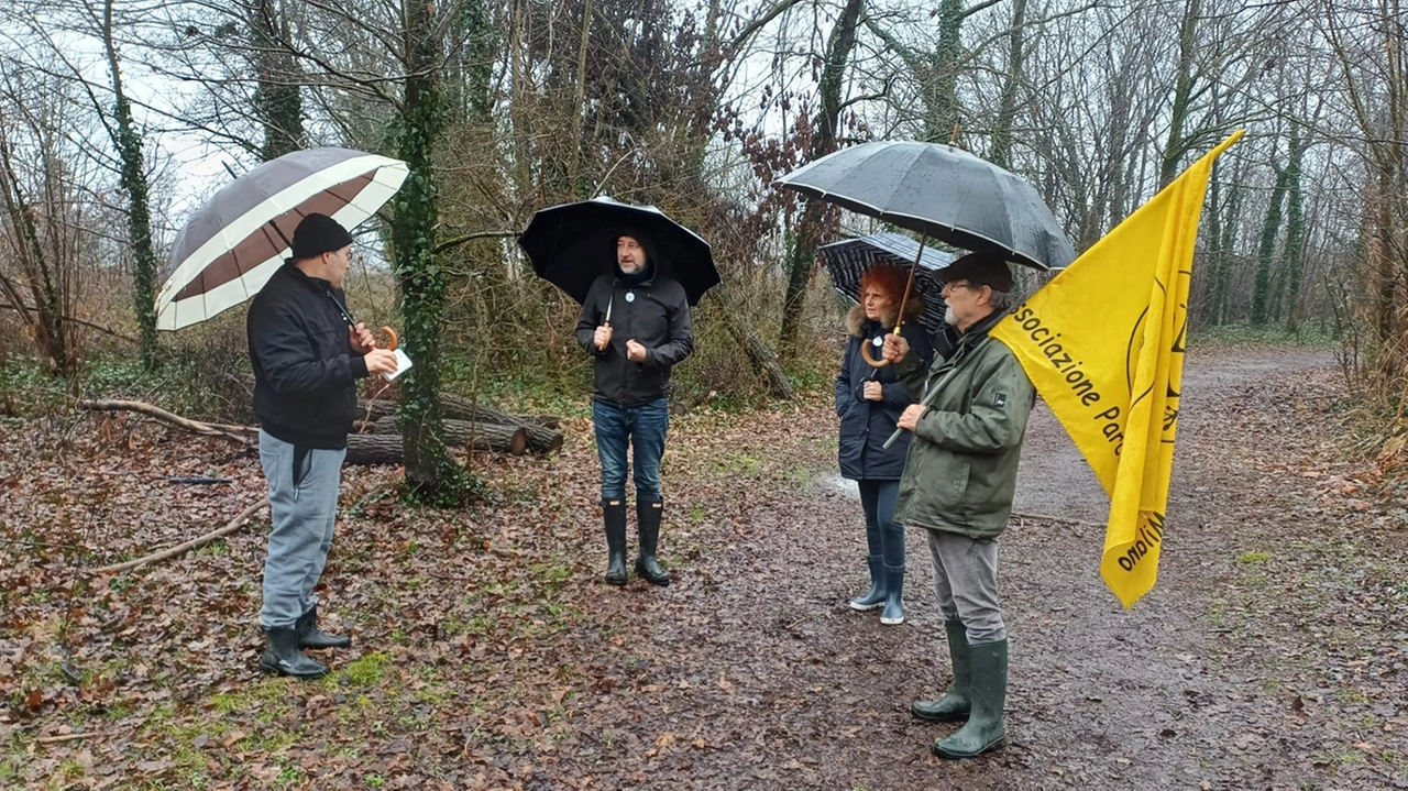 Le sentinelle del parco agricolo e altre associazioni ambientaliste a Basiglio in campo per impedire l’abbattimento di un bosco di circa tre ettari Le sentinelle del parco agricolo e altre associazioni ambientaliste a Basiglio in campo per impedire l’abbattimento di un bosco di circa tre ettari