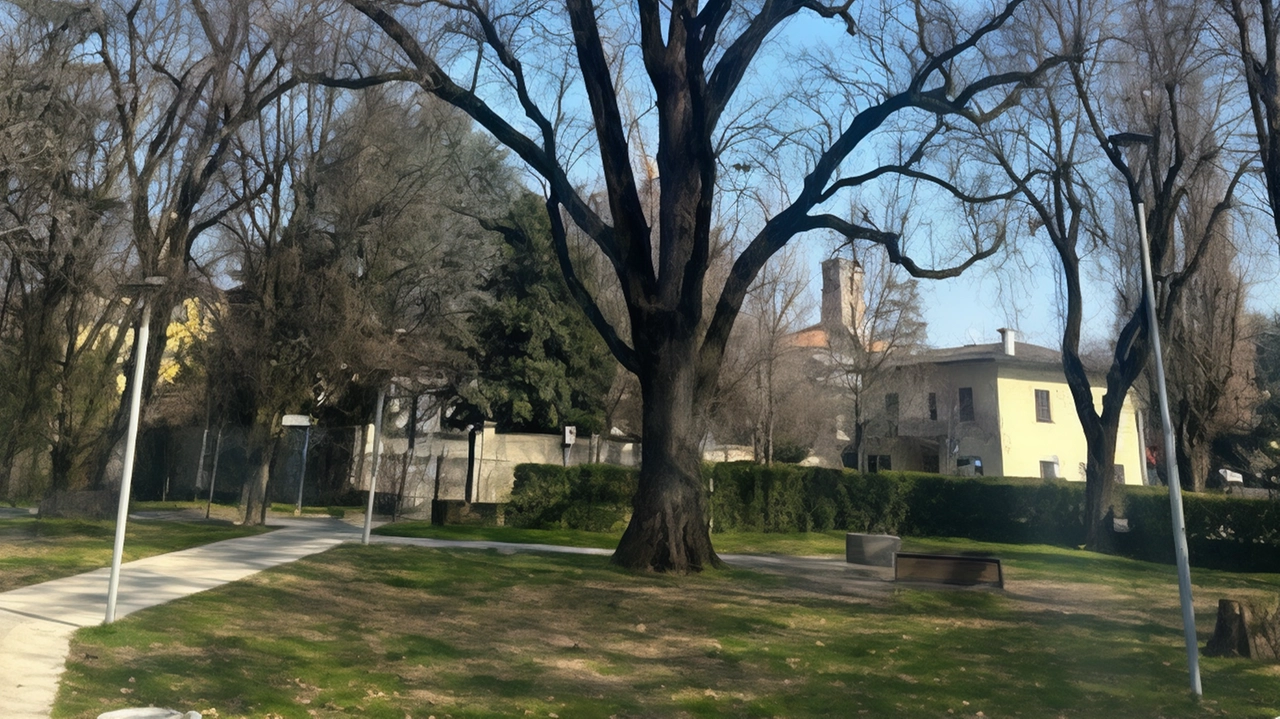 È stata controllata la quercia monumentale nei giardini pubblici del Campo di Marte, un albero quasi centenario alto ben 35...